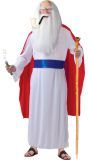 Druid Panoramix Kostuum