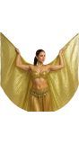 Egyptische Gouden Cape Vleugels