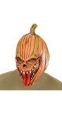 Eng Pompoen Masker