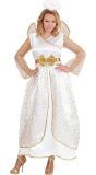 Engel Carnaval Kostuum