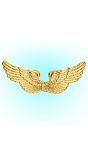 Engel Vleugels Goud Plastic
