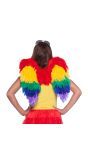Engelen Vleugels Regenboog 50cm