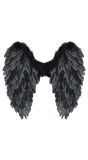 Engelenvleugels Zwart met Veren Dames Heren
