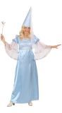 Fee Lichtblauw Kostuum