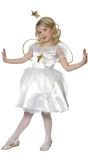 Feëen Jurkje Meisjes