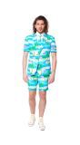 Flamingo Opposuits Zomer Kostuum