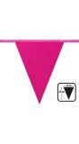 Fuchsia Roze Glitter Vlaggenlijn Karton