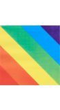 Gay Pride Papieren Servetten