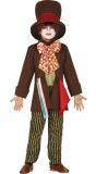 Gekke Hoedenmaker Kostuum Kind
