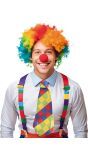Gekleurde Mega Stropdas Clown