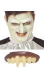 Gelige Vampier Hoektanden Gebit