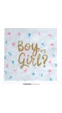 Gender Reveal Baby Servetten