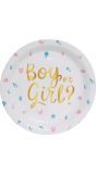 Gender Reveal Baby Wegwerp Bordjes
