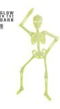 Glow In The Dark 3D Skelet