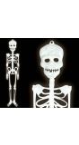 Glow In The Dark Skelet
