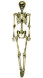 Gouden Skelet Pop Decoratie