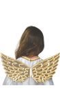 Gouden Vleugelset Kinderen