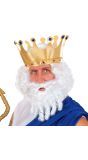 Griekse God Poseidon Pruik