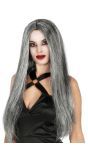 Grijze Lange Heksen Pruik Vrouw