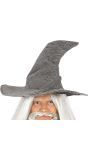 Grijze Tovenaarshoed Gandalf