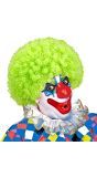 Groen Clowns Pruik