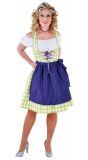 Groen Geblokte Oktoberfest Dirndl Dames