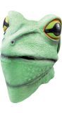 Groen Kikker Masker