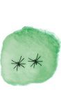 Groen Spinnenweb met 4 Spinnen