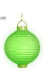 Groene Lantaarn met 2 Witte Led Lichten