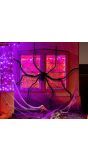 Grote Zwarte Spin met Spinnenweb Halloween