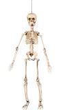 Halloween Beweegbaar Skelet Hangdecoratie 50cm