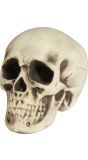 Halloween Foam Skull Decoratie