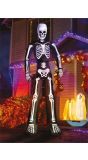 Halloween Grote Opblaasbaar Skelet 200cm