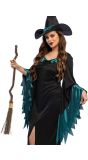 Halloween Heksen Bezem