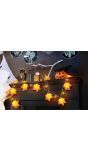 Halloween Herfst Lichtslinger met Pompoen en Bladeren