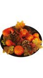 Halloween Herfstboeket Pompoenen Bladeren Dennenappels