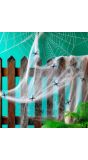 Halloween Horror Spinnenweb Wit met Spinnen