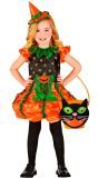 Halloween Kat Snoep Emmer