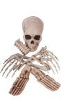 Halloween Losse Skelet Botten Decoratie