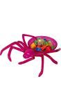 Halloween Paarse Spin Snoep Schaal