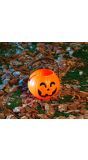 Halloween Pompoen Emmer