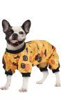Halloween Pompoen Kostuum Hond