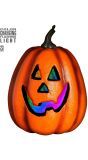Halloween Pompoen met Licht