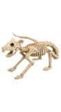 Halloween Ratten Skelet Decoratie