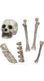 Halloween Schedel en Botten Set