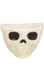 Halloween Schedel Schaal