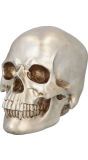 Halloween Shine Schedel Decoratie