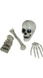 Halloween Skelet Botten Set