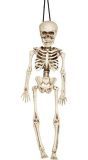 Halloween Skelet Decoratie 40cm