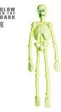 Halloween Skelet Glow In The Dark